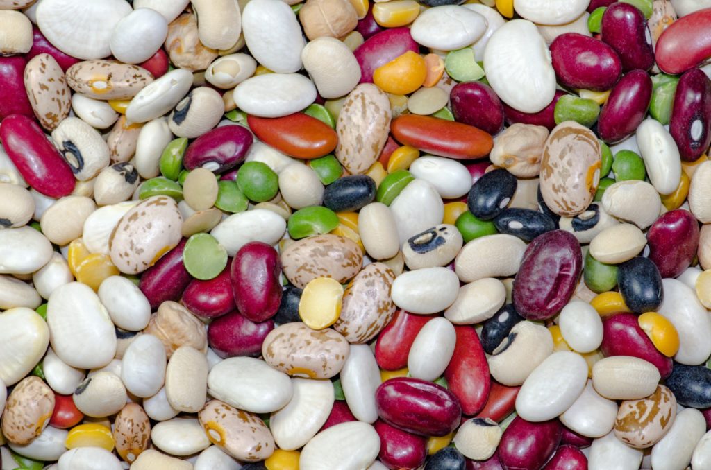 Légumes secs